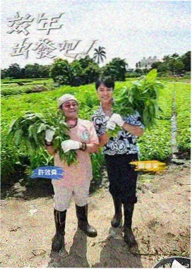 伦理影视资讯：2025年伦理片趋势